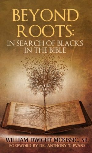 Pic   Beyond Roots   In Search Of Blacks In The Bible 66ce9b7b184b190cf8e53c54a7599a48